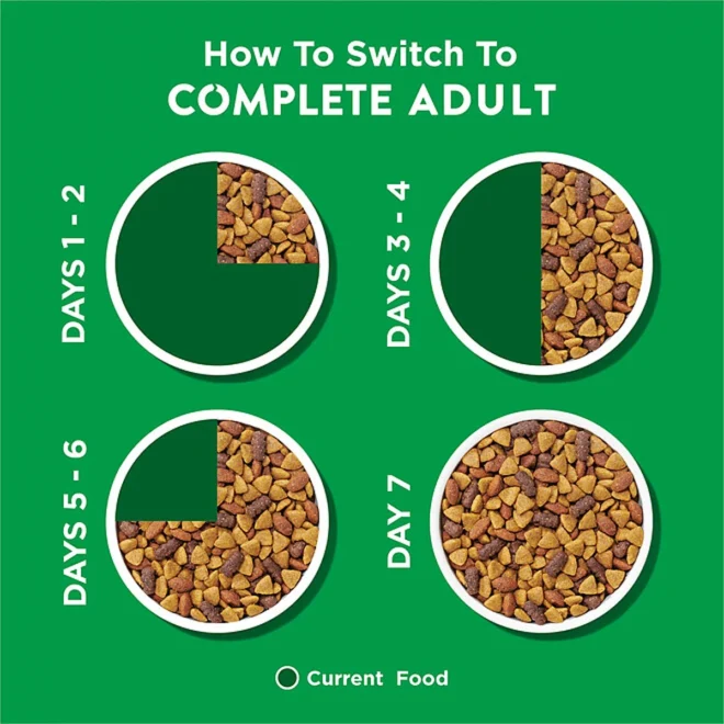 Purina Dog Chow Complete, Chicken Flavor, Adult Dry Dog Food, 48 lbs. - Image 9