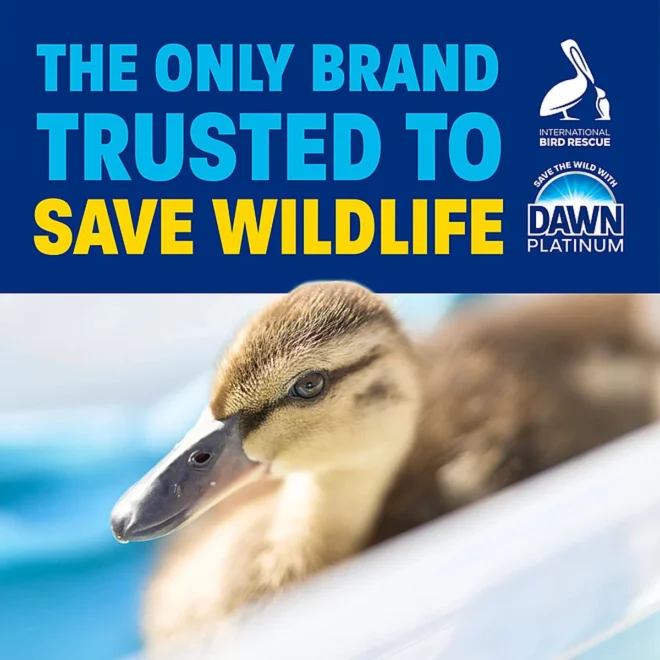 Dawn Platinum EZ- Squeeze Liquid Dish Soap, Lemon, 3 ct., 61.5 fl. oz. - Image 9